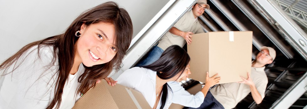Professional Removalists Dandenong